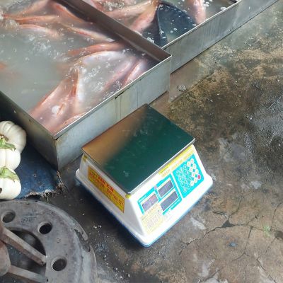 Cân Điện Tử Tính Tiền Chống Nước, Chống Dầu Mỡ VKS01