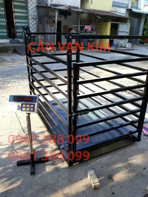 Cân Heo Điện Tử 1.5 Tấn (1500kg) – Cân Heo Có Lồng Cho Trang Trại Lớn