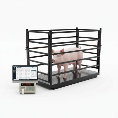 Cân Heo Điện Tử 1.5 Tấn (1500kg) – Cân Heo Có Lồng Cho Trang Trại Lớn