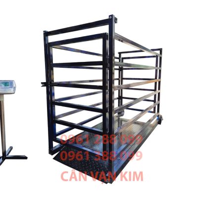 Cân Heo Điện Tử 500kg – Cân Gia Súc Trang Trại Chính Xác Và Bền Bỉ