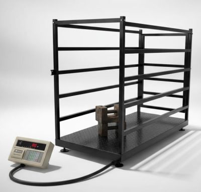 Cân Heo Điện Tử 750kg – Giải Pháp Cân Gia Súc Cho Trang Trại Chăn Nuôi