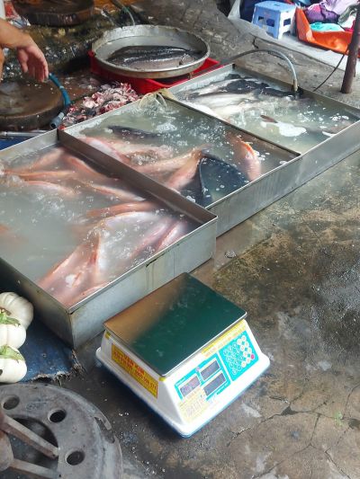 Mở Cửa H&agrave;ng Hải Sản N&ecirc;n Chọn Loại C&acirc;n Điện Tử N&agrave;o Ph&ugrave; Hợp?